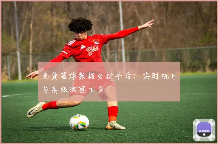 免费篮球数据分析平台：实时统计与高级洞察工具
